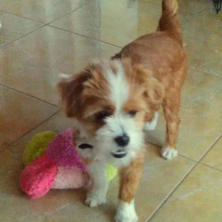 Apartman Jazzyhome In Vólosz