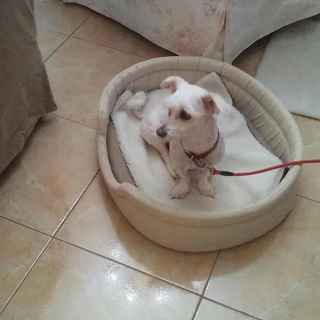 Apartament Jazzyhome In Wolos